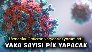 Uzmanlar Omicron varyantını yorumladı: Omicron ile vaka sayısı pik yapacak