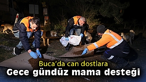 Buca’da can dostlarına gece gündüz mama desteği
