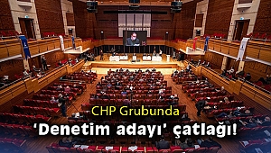 CHP Grubunda 'denetim adayı' çatlağı!