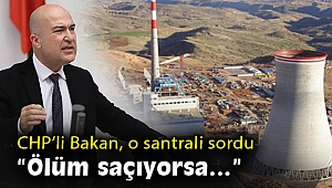 CHP’li Bakan’dan Silopi Termik Santrali soruları