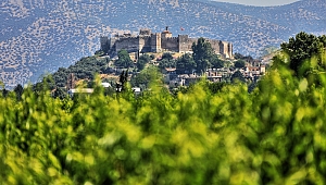 Efes Selçuk'ta doğa dostu verimli tarımsal üretim buluşması