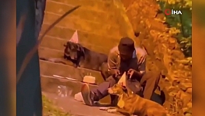 Evsiz adam doğum gününü köpeklerle kutladı