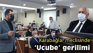 Karabağlar meclisi 'ucube milletvekili' sözü ile gerildi