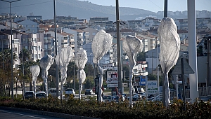 Kuşadası’nda ağaçlara özel koruma