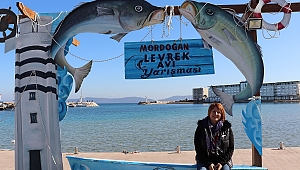 Levrek Avı için deniz tutkunları olta başına!