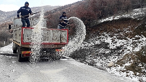Ödemiş’te kış mücadelesi aralıksız devam ediyor