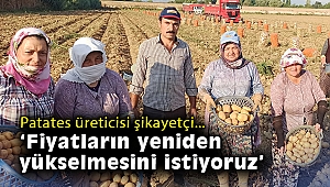 Ödemiş'te kış patatesi hasadı başladı