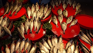 Soğuk ve karlı hava balık tezgâhlarını etkiledi