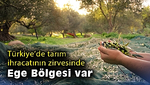 Türkiye’de tarım ihracatının zirvesinde Ege Bölgesi var