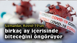 Uzmanlar, Kovid-19'un birkaç ay içerisinde biteceğini öngörüyor