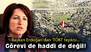 Başkan Erdoğan: TOKİ’nin işi siyaset yapmak değil, somut sorulara cevap vermektir!