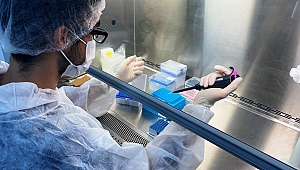 BioNTech'in Omicron aşısına erteleme kararı