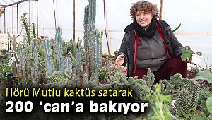 Can dostları “çiçek”lerle besliyor!