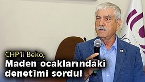 CHP'li Beko, maden ocaklarındaki denetimi sordu
