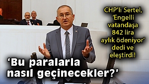 CHP’li Sertel: Engelli vatandaşa 842 lira aylık ödeniyor, bu paralarla nasıl geçinecekler?