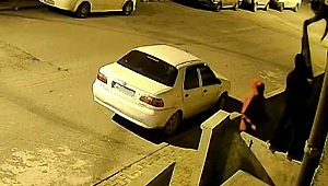 Duvara tırmanıp hırsızlık yaptılar!