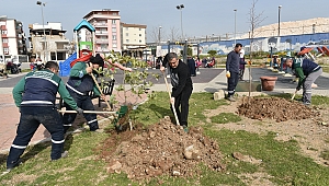 Fidanlar dikiliyor, Bornova bahara hazırlanıyor