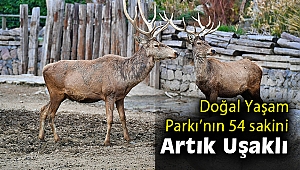 İzmir Doğal Yaşam Parkı’nın 54 sakini artık Uşaklı