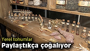 İzmir yerel tohum şenliğine hazırlanıyor