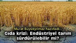 Gıda krizi: Endüstriyel tarım sürdürülebilir mi?