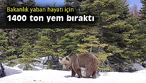 Yaban hayatı için yaşam alanlarına 1400 ton yem bırakıldı