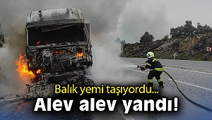 Balık yemi yüklü kamyon tamamen yandı
