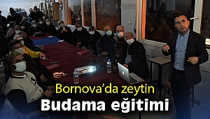 Bornova’da zeytin budama eğitimi