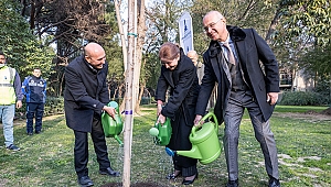 Brezilya’dan İzmir’e kardeşlik fidanı