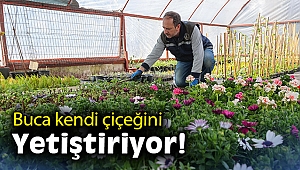 Buca kendi çiçeğini yetiştiriyor