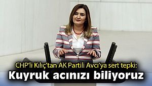 CHP’li Kılıç’tan AK Partili Avcı’ya sert tepki: Kuyruk acınızı biliyoruz