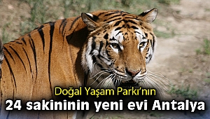 Doğal Yaşam Parkı’nın 24 sakininin yeni evi Antalya