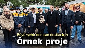 İzmir Büyükşehir Belediyesi'nden can dostlar için örnek proje