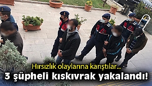 İzmir'de hırsızlık olaylarına karışan şüpheliler yakalandı