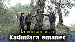 İzmir'in ormanları kadınlara emanet