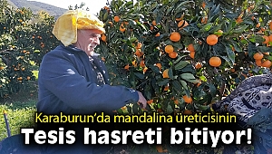 Karaburun'da mandalina üreticisinin işleme tesisi hasreti bitiyor!