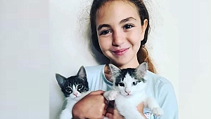 Köpeklerden kaçarken kamyonun altında kalan Mahra’dan acı haber