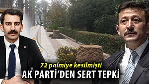 Kültürpark’taki 72 palmiyenin kesilmesine Ak Parti’den tepki