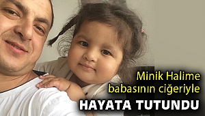 Minik Halime babasının karaciğeriyle hayata tutundu