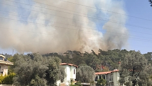 Muğla'nın Fethiye ilçesinde orman yangını çıktı