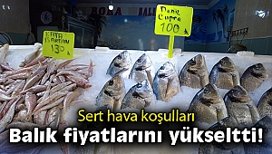 Sert hava koşulları balık fiyatlarını yükseltti