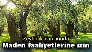 Zeytinliklerde maden faaliyetlerine izin