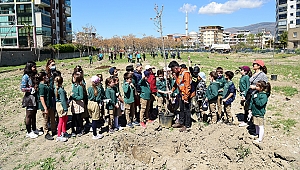 Bornova fidan dikimleriyle yeşilleniyor