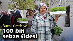 Bucalı üreticiye 100 bin sebze fidesi