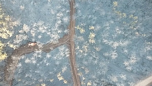 Bursa'daki orman yangını 18 saat sonra kontrol altına alındı