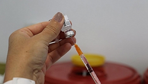 Covid-19 aşı şişesinin içinden sivrisinek çıktı!