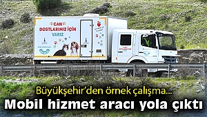 İzmir Büyükşehir Belediyesi’nden sokak hayvanları için örnek bir çalışma