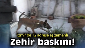 İzmir'de 12 adrese eş zamanlı zehir baskını: 19 satıcı yakalandı