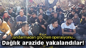 İzmir'de jandarmadan göçmen operasyonu