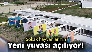 Pako Sokak Hayvanları Sosyal Yaşam Kampüsü 30 Nisan’da açılıyor