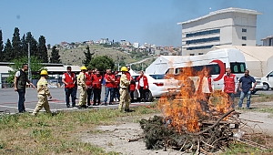 7 bin orman gönüllüsü, orman yangınlarına karşı mücadele verecek